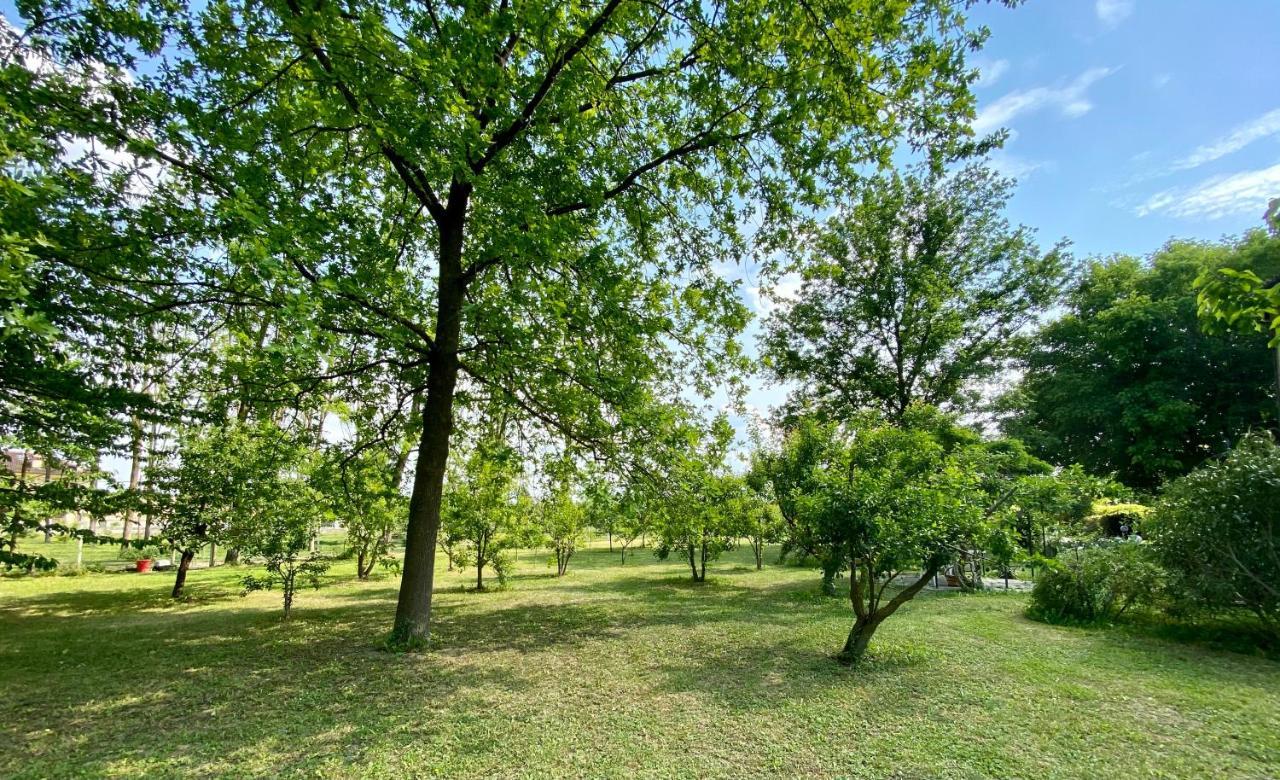 Locanda Del Molino Vecchio Magliano Alfieri Exterior foto